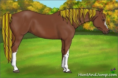 Horse Color:Painted Chestnut 