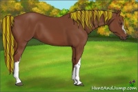 Horse Color:Painted Chestnut 