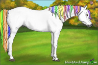 Horse Color:Gray Painted Red Dun 