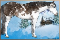 Horse Color:Bay Ice Sabino Splash 