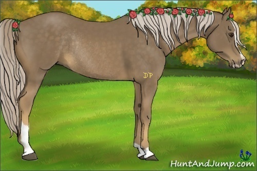 Horse Color:Chocolate Palomino Sabino Rabicano 