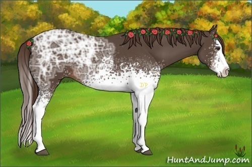 Horse Color:White Spotted Liver Chestnut Ice Splash