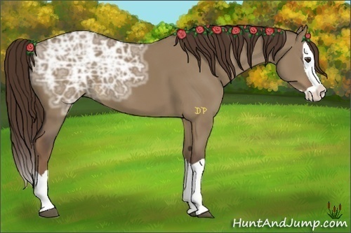 Horse Color:Liver Red Dun Ice Splash 