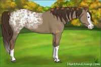 Horse Color:Liver Red Dun Ice Splash 