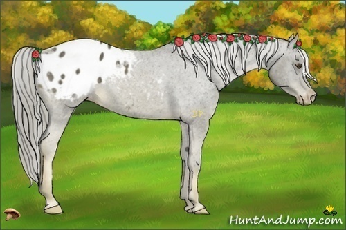 Horse Color:Chocolate Palomino Mushroom Varnish