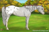 Horse Color:Chocolate Palomino Mushroom Varnish 