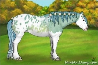 Horse Color:Watercolor Bay Splash Appaloosa Rabicano 