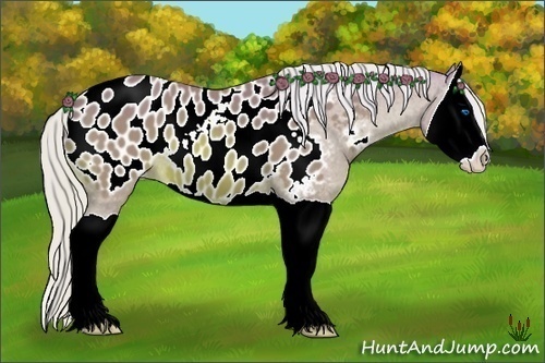 Horse Color:Watercolor Silver Bay Splash Appaloosa 
