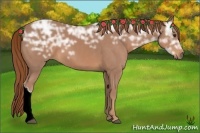 Horse Color:Chestnut Ice 