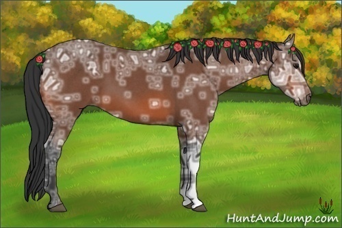 Horse Color:Bay Ice Roan 