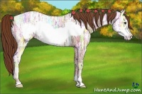 Horse Color:Chestnut Ice Frame 