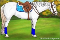 Horse Color:Gold Champagne Ice Fewspot 