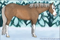 Horse Color:Silver Buckskin Splash