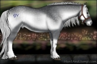 Horse Color:Silver Blue Onyx Chinchilla 