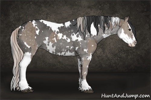 Horse Color:White Spotted Silver Grullo Splash  and White Spotted Grullo Splash 