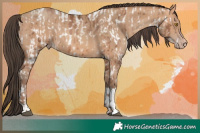 Horse Color:Brown Snowdrop Pearl Near Leopard and Amber Champagne