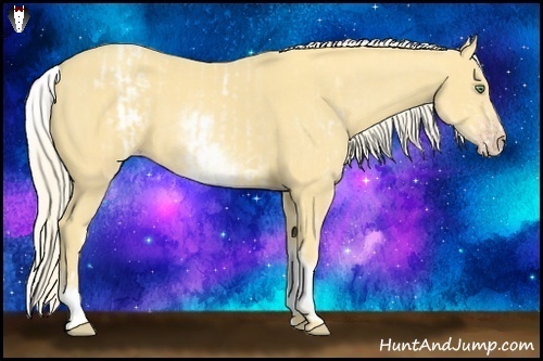 Horse Color:White Spotted Gold Cream Champagne and White Spotted Gold Cream Champagne