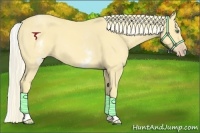 Horse Color:White Spotted Gold Cream Champagne 