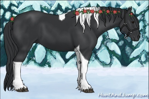 Horse Color:Black Tobiano 