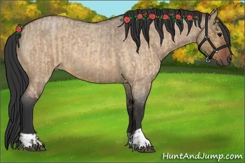 Horse Color:Brown Roan Dun  and Bay Roan Dun 