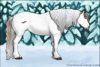 Horse Color:Gray Red Roan Splash Tobiano  and Gray Red Roan Splash Tobiano 