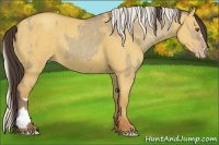 Horse Color:Classic Champagne Dun and Silver Classic Champagne Dun