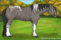Horse Color:Grullo Tobiano and Grullo Splash Tobiano