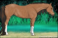 Horse Color:Chestnut  and Bay 