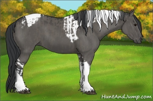 Horse Color:Grullo Tobiano  and Grullo Tobiano 