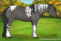 Horse Color:Grullo Tobiano  and Grullo Tobiano 