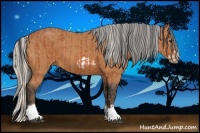 Horse Color:Bay Splash Frame and Silver Bay Splash Frame