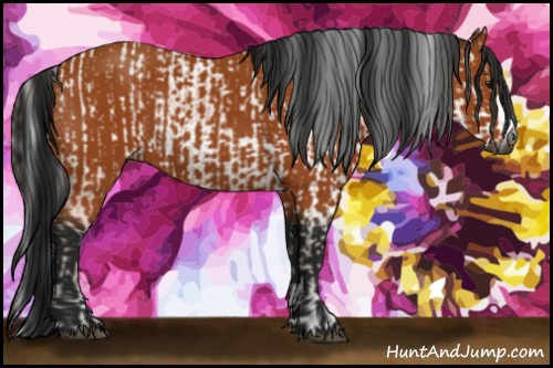 Horse Color:Gray Bay  and Gray Bay 