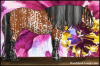 Horse Color:Gray Bay  and Gray Bay 