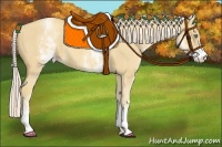 Horse Color:White Spotted Gold Cream Champagne Roan 