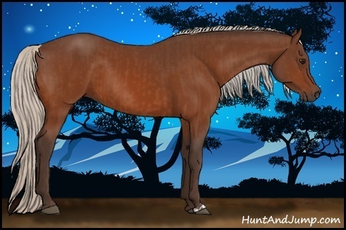 Horse Color:Silver Bay  and Silver Bay 