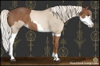 Horse Color:Liver Chestnut  and Chocolate Palomino Pearl Splash 