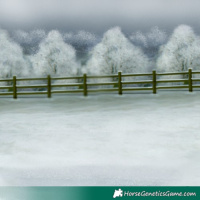 Horse Color:Chocolate Silver Amber Champagne Pearl Dun Brindle  and Chocolate Silver Amber Champagne Pearl Dun Brindle 