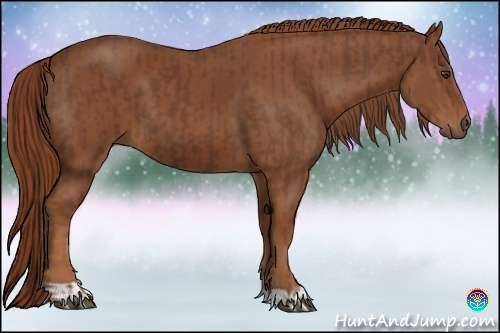 Horse Color:Chestnut and Chestnut