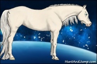 Horse Color:Cremello  and Cremello 