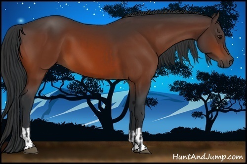 Horse Color:Bay and Bay