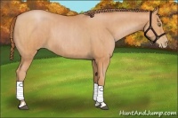 Horse Color:Bay Pearl  and Bay Pearl 