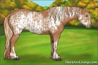 Horse Color:Chestnut  and Chestnut Frame 