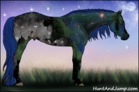 Horse Color:ERROR: UNKNOWN ANOMALY and ERROR: UNKNOWN ANOMALY