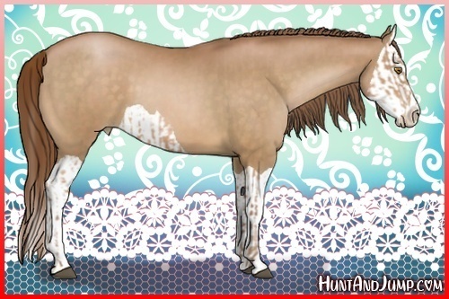 Horse Color:Bay Pearl  and Bay Pearl Splash 