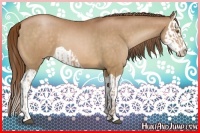 Horse Color:Bay Pearl  and Bay Pearl Splash 