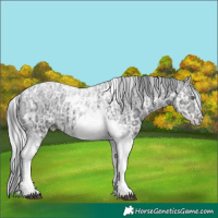 Horse Color:Silver Brown Chinchilla Ice Pearl Dun Splash Tobiano Brindle  and Brown Chinchilla Ice Pearl Dun Tobiano Brindle 