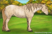 Horse Color:Liver Chestnut Pearl  and Gold Champagne Pearl 