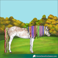 Horse Color:Painted White Spotted Liver Chestnut Pearl Splash Tobiano and Painted Liver Chestnut Pearl Sabino Splash