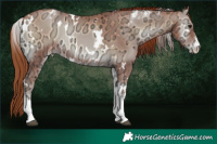 Horse Color:Brown Ice Pearl Onyx Tobiano  and White Spotted Brown Ice Pearl Onyx Rabicano 