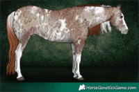 Horse Color:Brown Ice Pearl Onyx Tobiano and White Spotted Brown Ice Pearl Onyx Rabicano